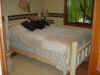 room1.jpg (826132 bytes)